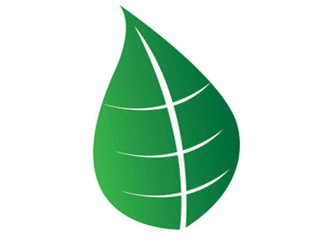 ECO Friendly Logo